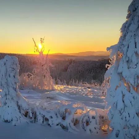 Jaeger Appartamento Willingen (Upland)