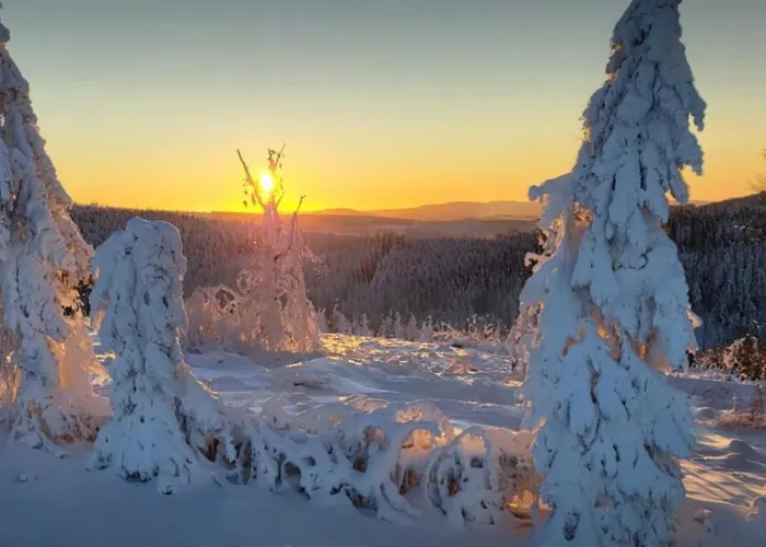 Jaeger 아파트 빌링겐